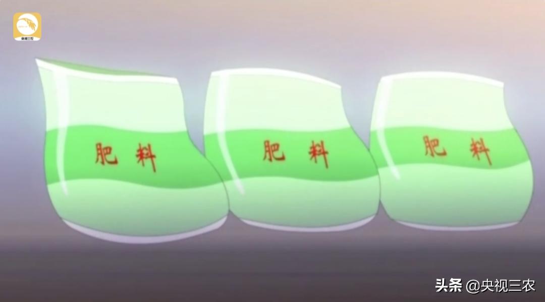 水稻倒伏怎么防止发芽,水稻可以用二甲四氯钠防止倒伏吗