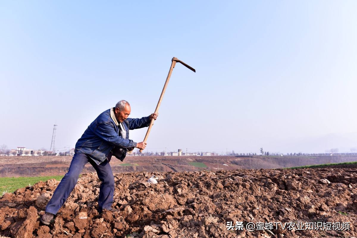 土壤不透水是碱性重还是酸性重,土壤怎样分辨酸性还是碱性肥料