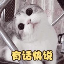 迷茫时算卦好吗,迷茫是什么卦