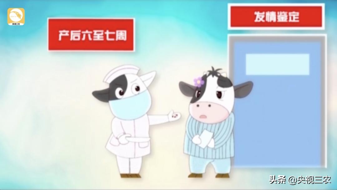 牛粪别扔，这么处理还有国家补贴