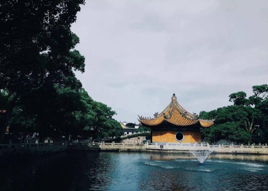 养心养肺之旅,静心养肺养心