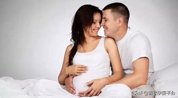 温馨提示孕期,孕期能不能与狗狗亲密接触