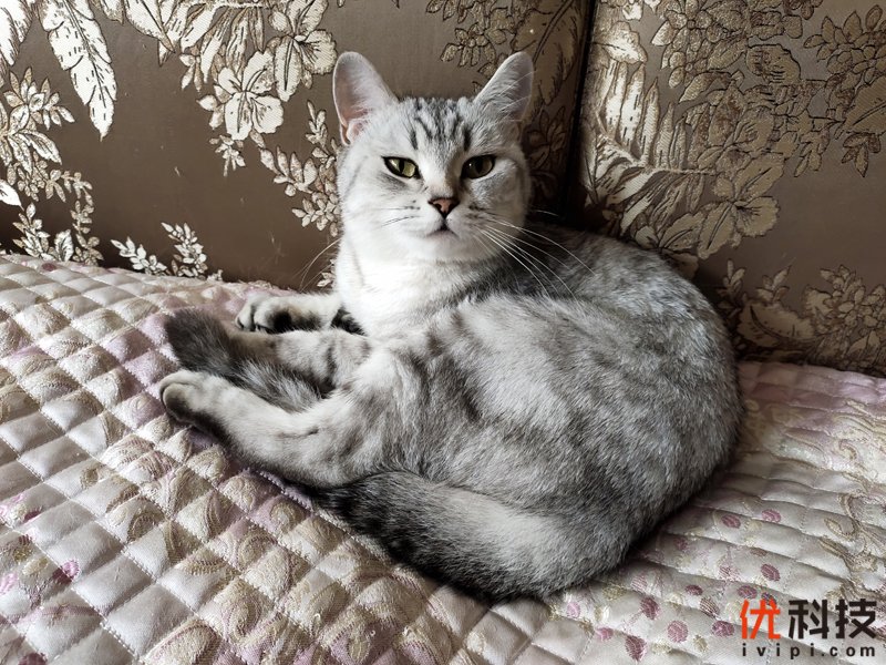 5g时代来临iqoopro5g优势很明显,iqoopro一代5g和4g有什么区别