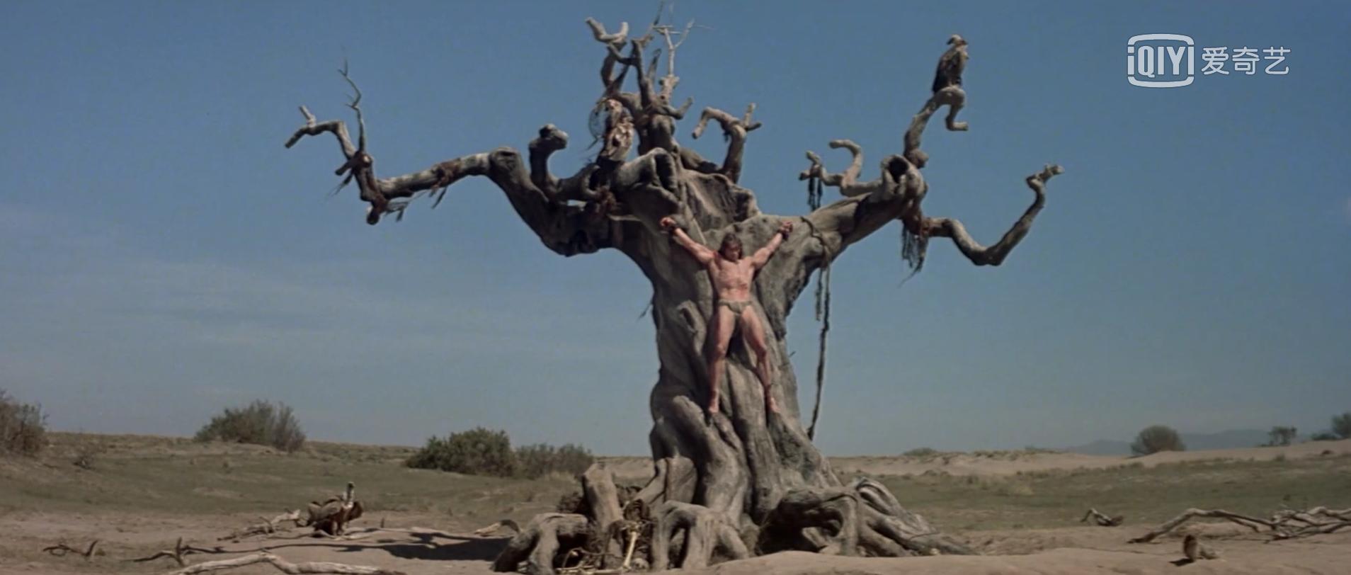 1982版野蛮人柯南,野蛮人柯南1982电影