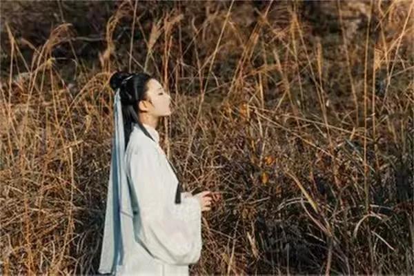 错爱一生小说全文,错爱一生全合集