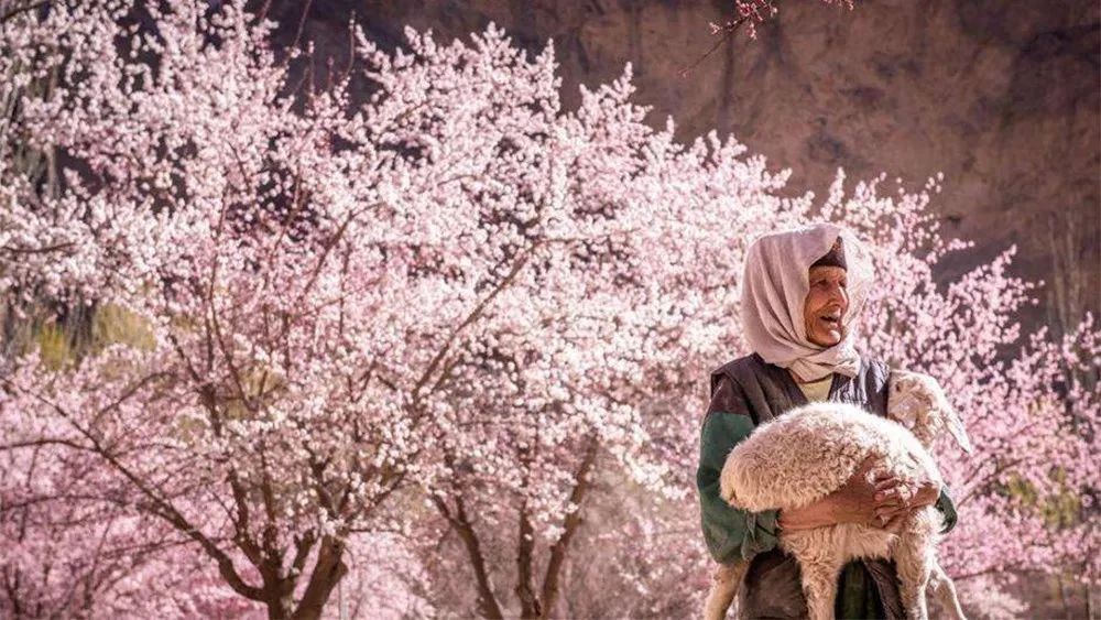 疫情过后再去看看风景,疫情结束后的人间仙境