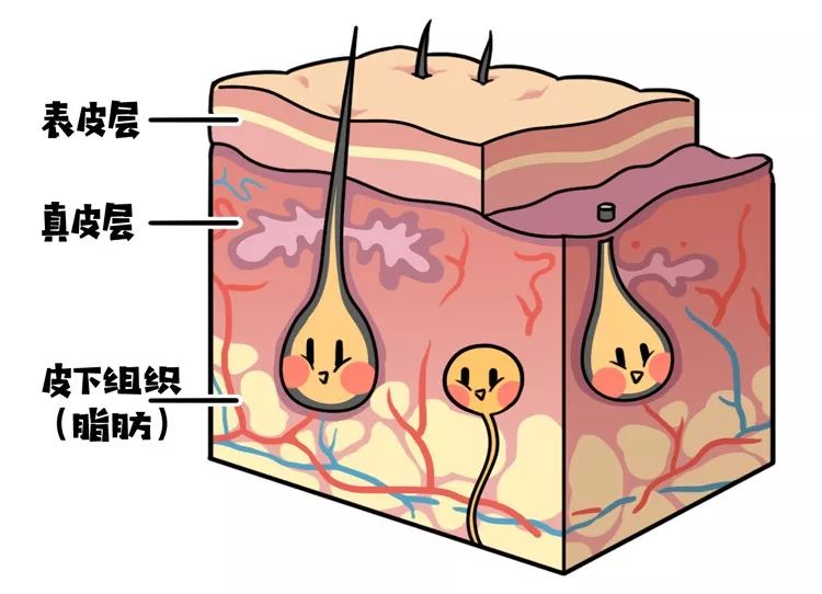 足贴排毒、量子波动速读？对不起，这些智商税也许你全都交过