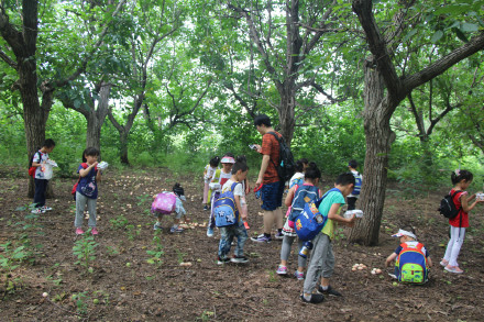 喂萌宠，捡鸡蛋，大自然里快乐多，精诚文化学校暑期班走进大自然