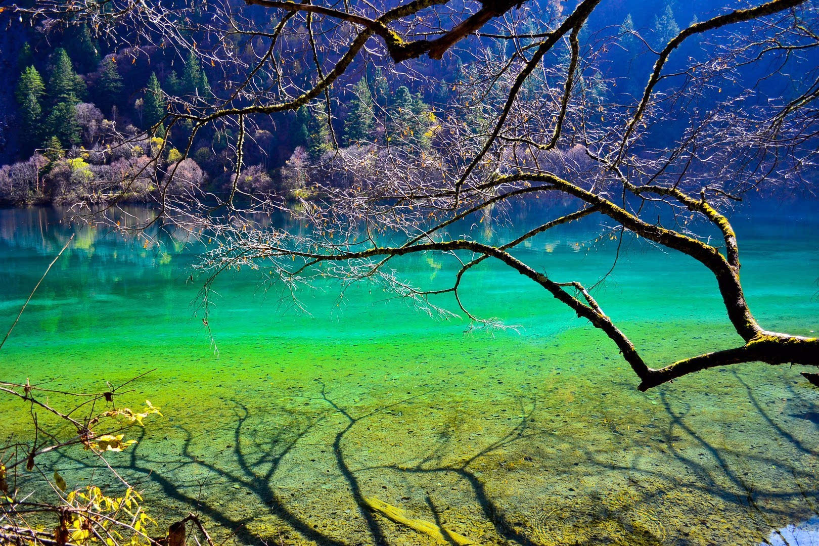 中国最有特色的旅游景点,中国特色旅游景点排名