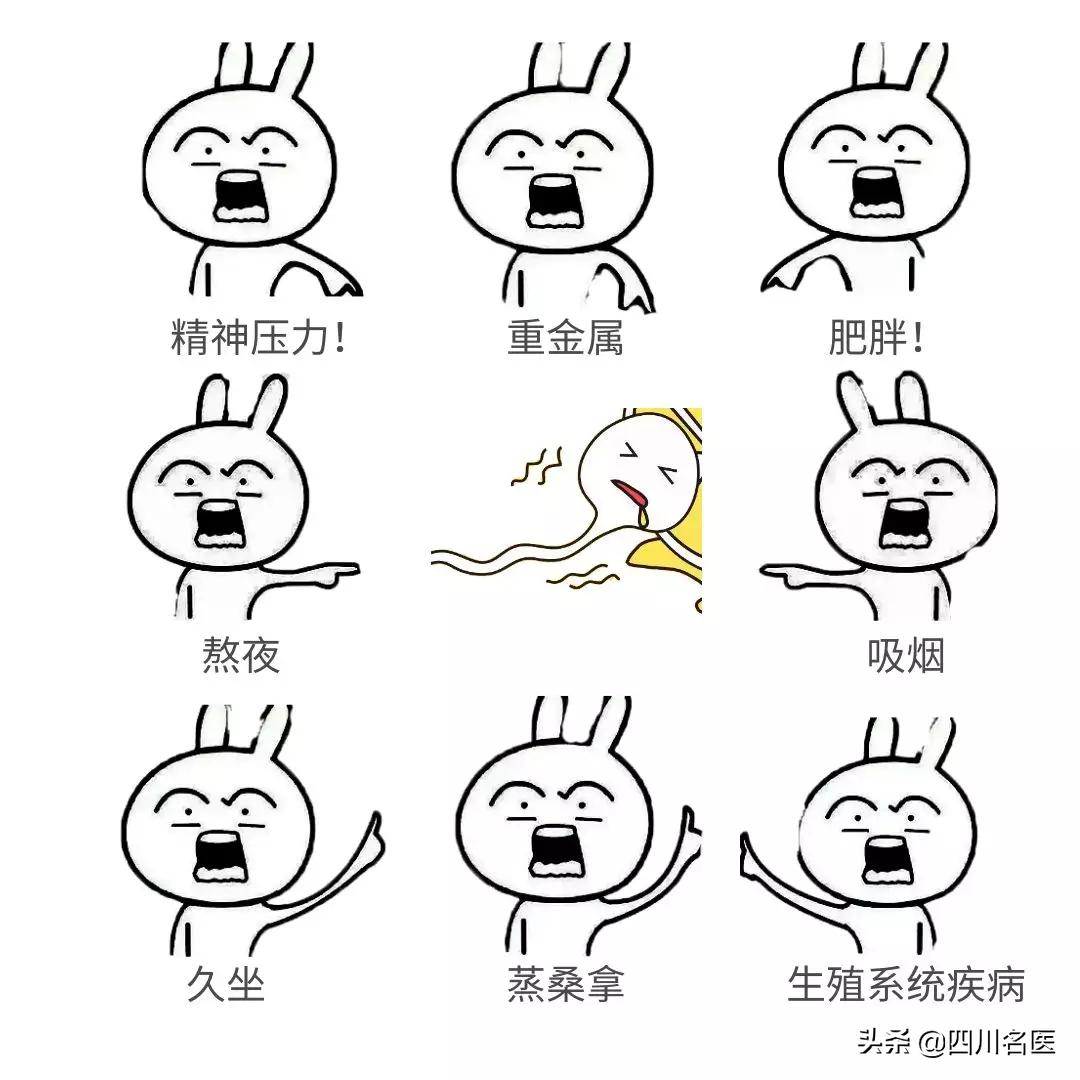 精子是如何产生的百科,精子是不是每天都能生成