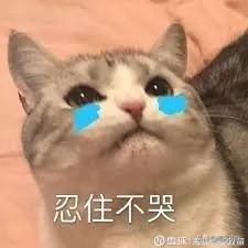 大妈乱带东西去澳洲被海关罚款,中国女游客入境被扣18天