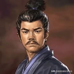 日本100大城堡,日本百大城堡复原图