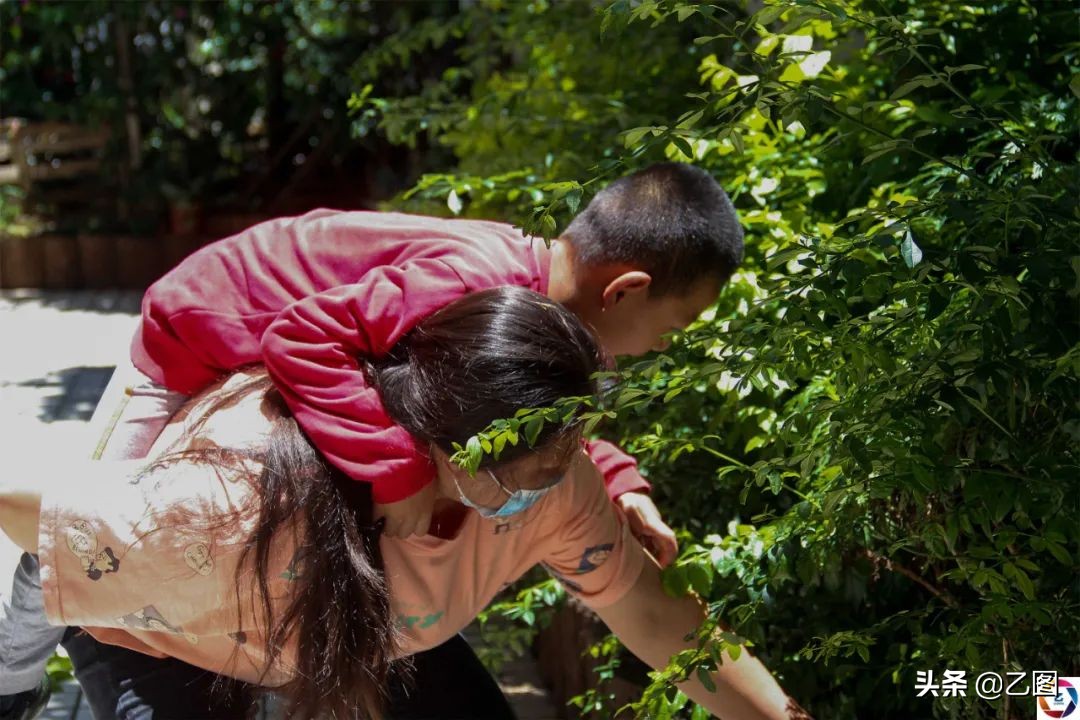 女子不孕却突然生了孩子,女子4次试管婴儿终怀孕