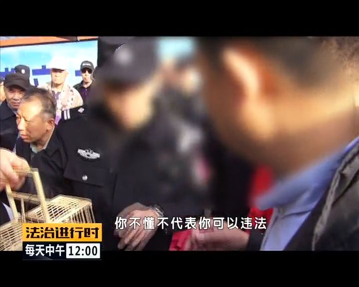 严厉打击非法捕猎候鸟,内蒙大兴安岭非法捕猎候鸟