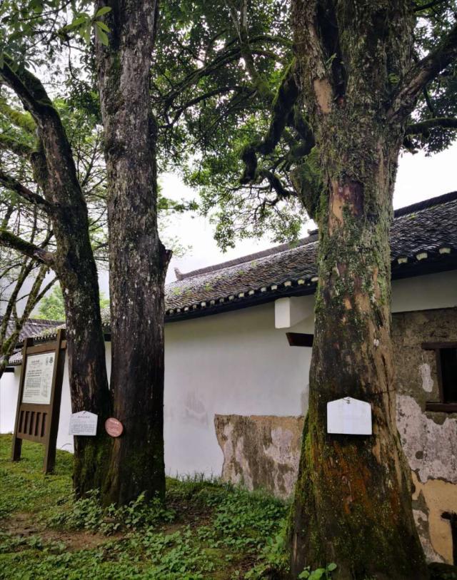 井冈山风景名胜区从哪里开始游玩,游览井冈山红色革命基地
