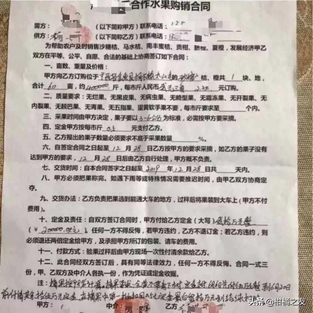 今年早熟蜜柑,今日沃柑沙糖桔价格