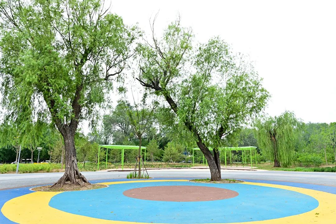 海淀区即将开放的公园,海淀新建的公园