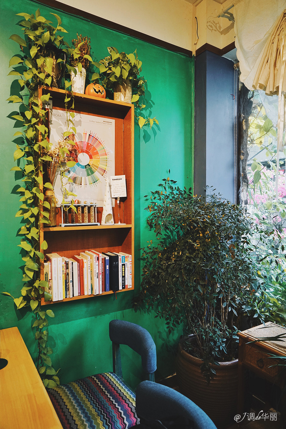 厦门没去过的地方,厦门没去过的景点