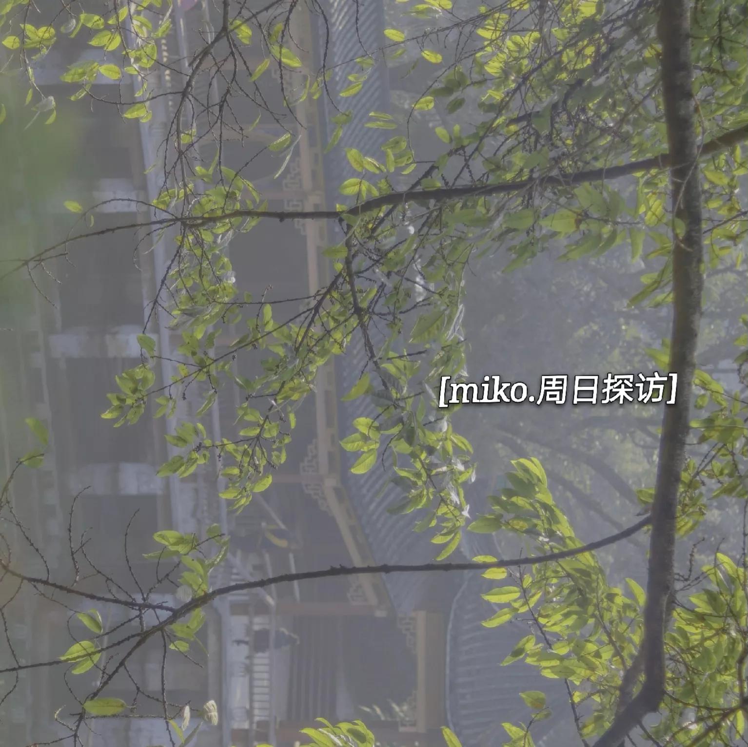 鹅岭公园推荐地,鹅岭公园游记