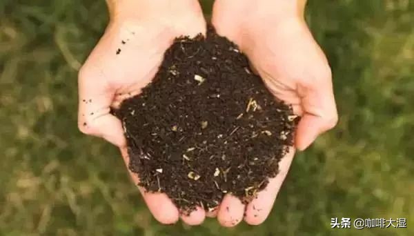 咖啡知识小课堂教程,咖啡小知识课堂