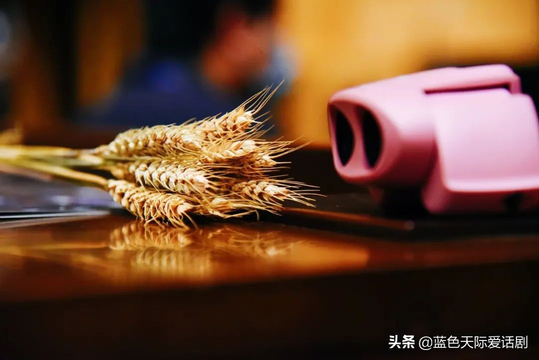 白鹿原戏剧节,陕西话剧白鹿原在哪个台播