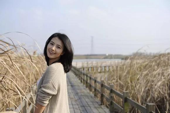 带你去杭州湾新区,带你走进宁波