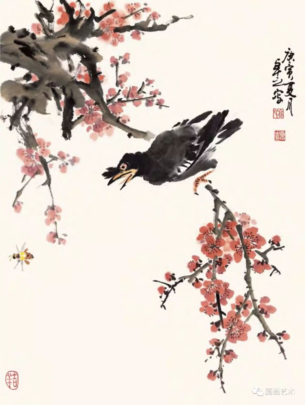 图文教程梅花,国画梅花的画法视频