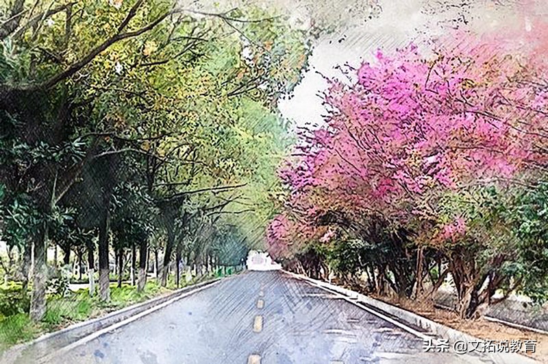 别人家的孩子!湖北“双胞胎学霸”高考都是664分,全靠自己努力