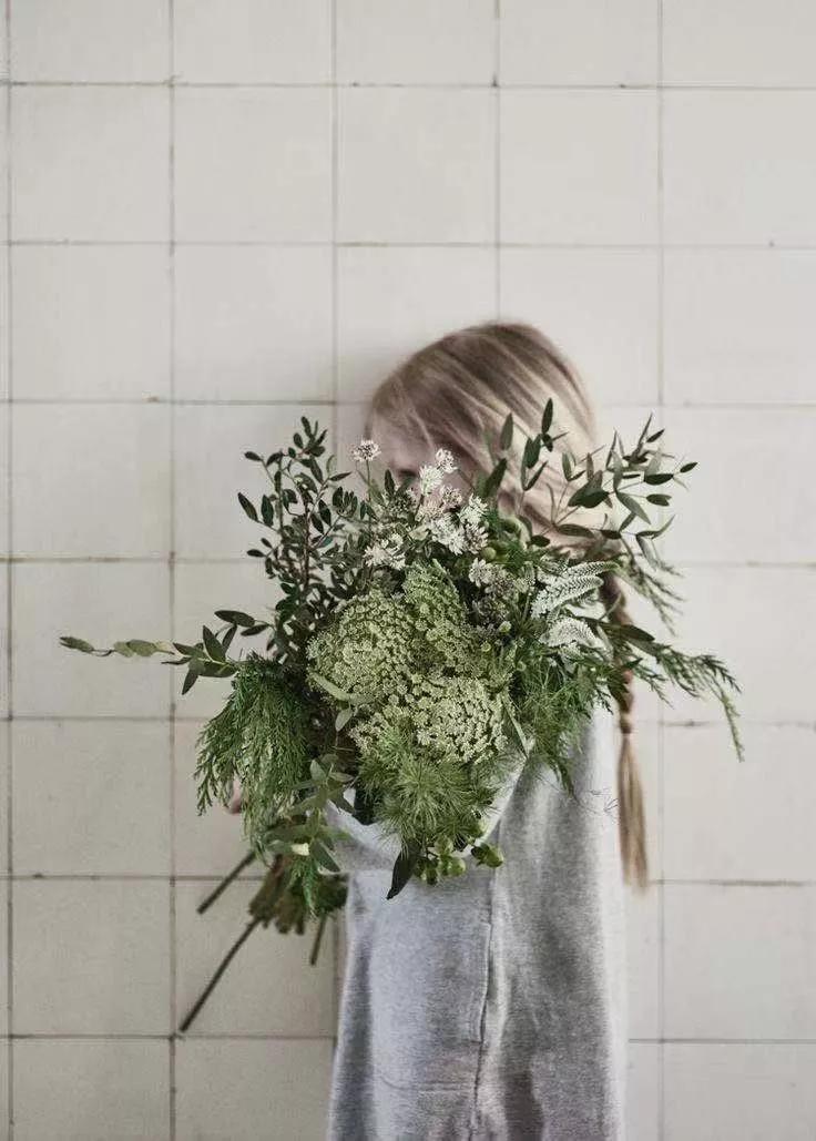 买花的套路和策略,买花的三个陷阱