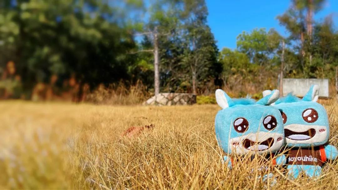 大运绿道跑步路线,大运公园绿道