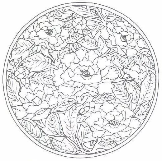 画画入门教程干货博主,基础入门画画必知