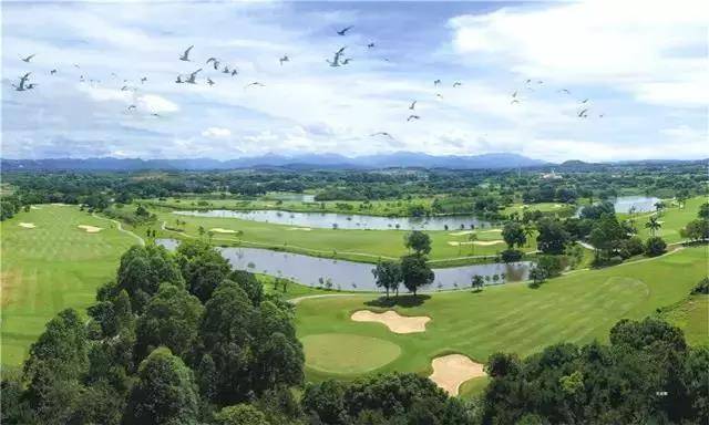 惠州候鸟度假酒店别墅入住价格,惠州候鸟度假酒店什么价格