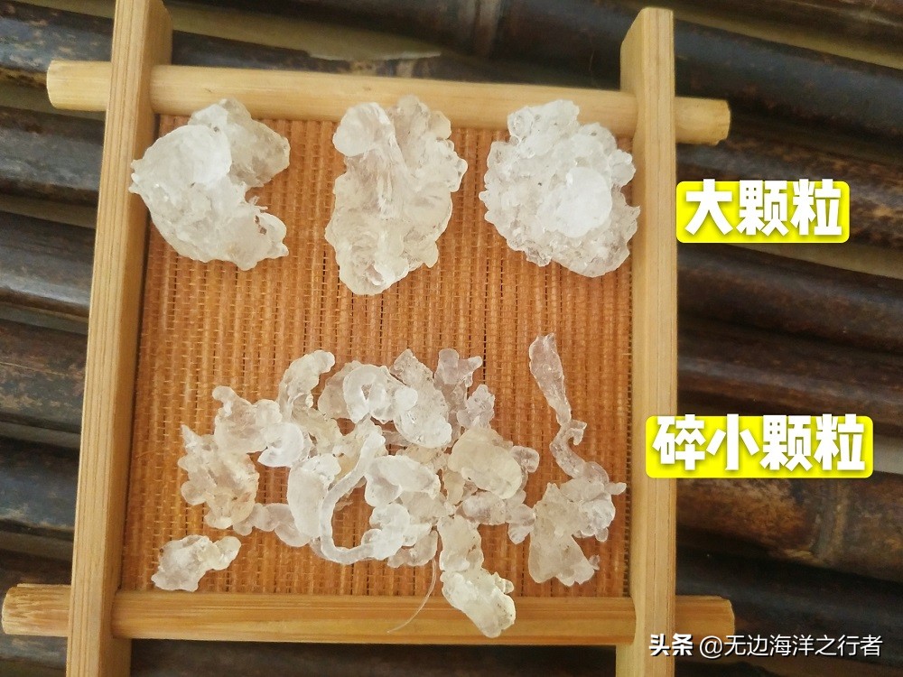 雪燕批发多少钱一斤,雪燕订单