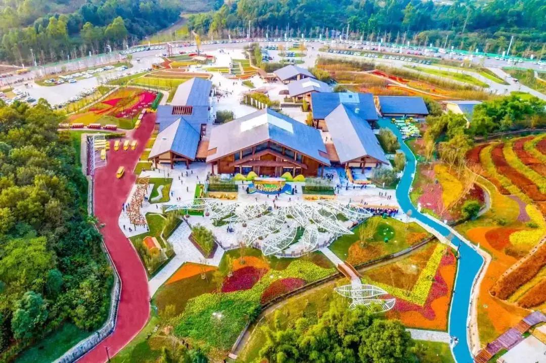 承包你的最美夏天！快来双流这个小普罗旺斯打卡