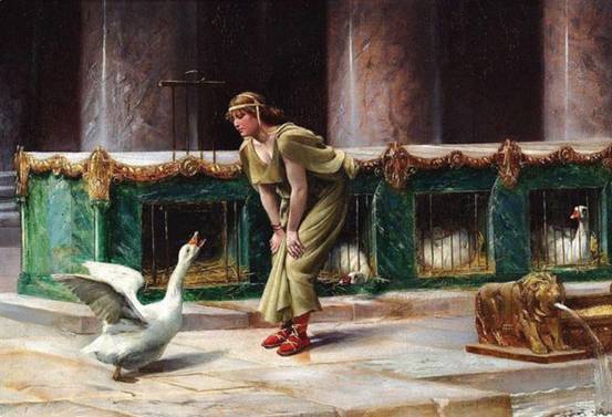 澳洲女士在脸书上求助，称家中发现蛇皮，却不见蛇影，该怎么办？