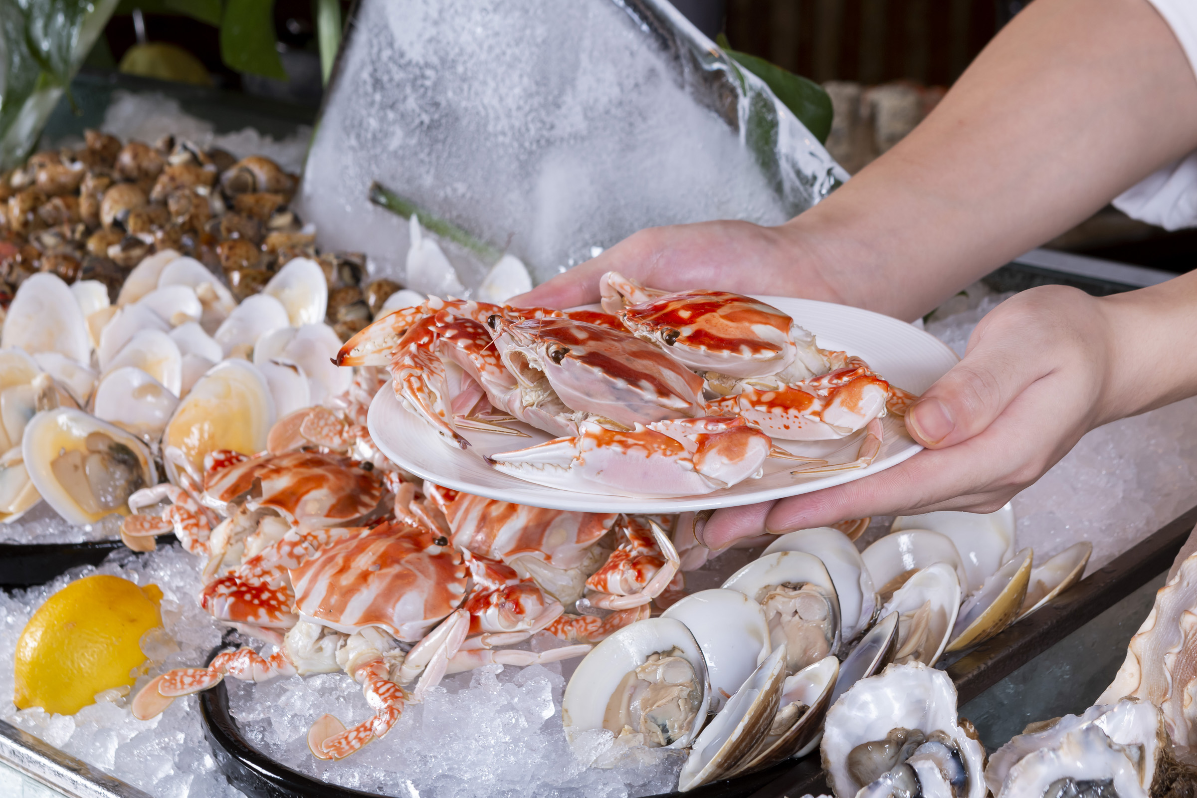 拔草活动感受,拔草喜来登