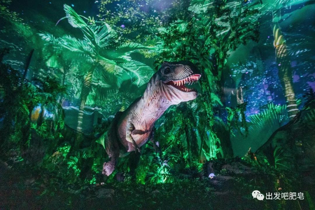 长隆飞鸟乐园怎么去长隆欢乐世界,汉溪长隆地铁站去长隆飞鸟乐园