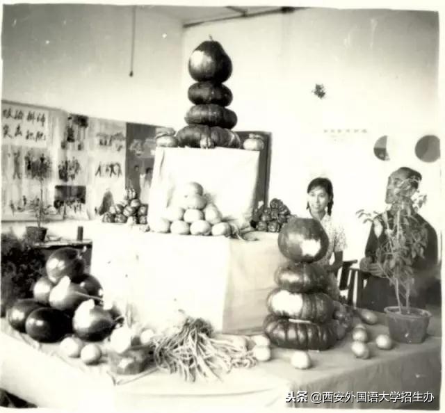 西安外国语大学70年校庆回放,西安外国语大学现状