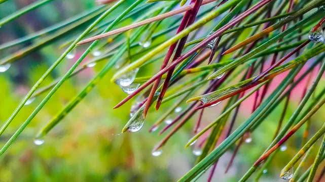 鏇炬皬鍥藉缁忓吀璁插爞,鏇炬皬鏄撳璇惧爞璁查姘寸鍥涢泦