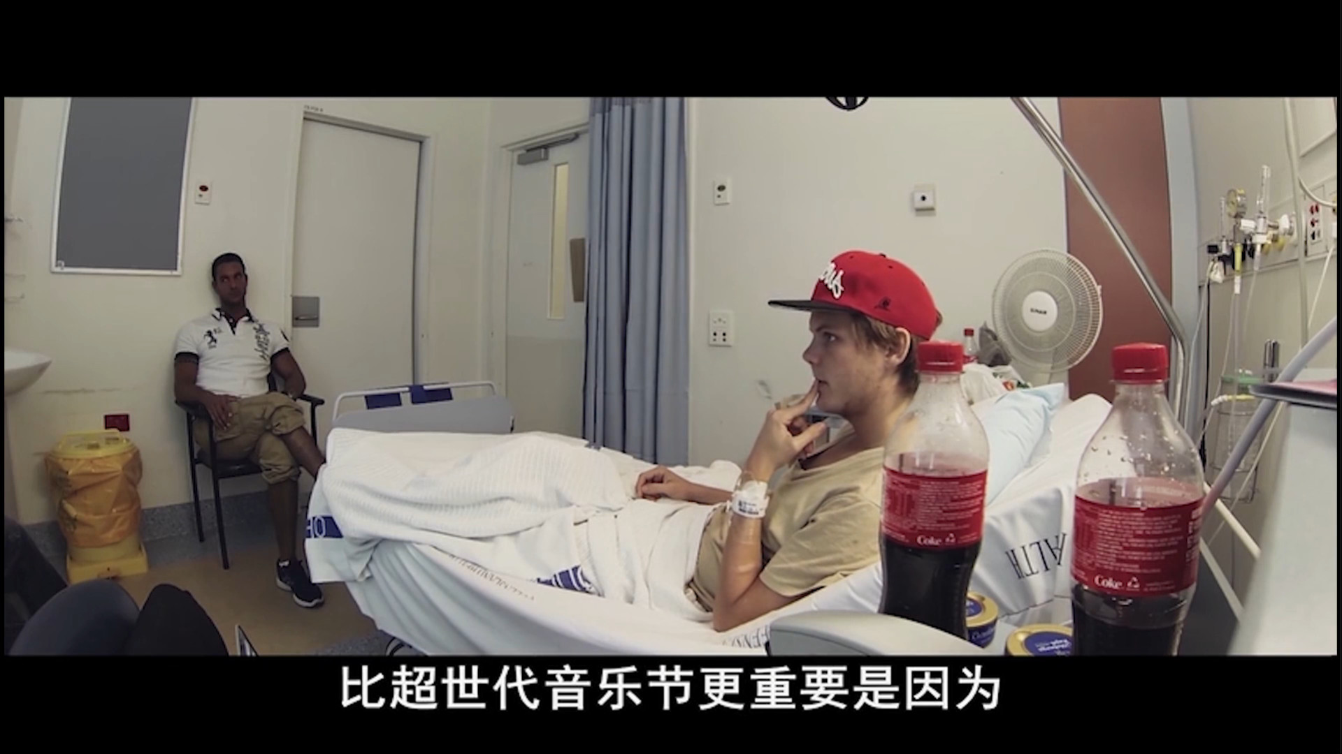 avicii历程,avicii有多受欢迎