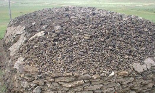 什么土养花最好养活,纯天然肥沃腐叶土需要放肥吗