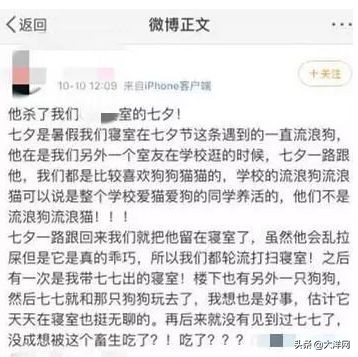 成都理工大学虐狗处理结果,成都理科研究生虐狗事件