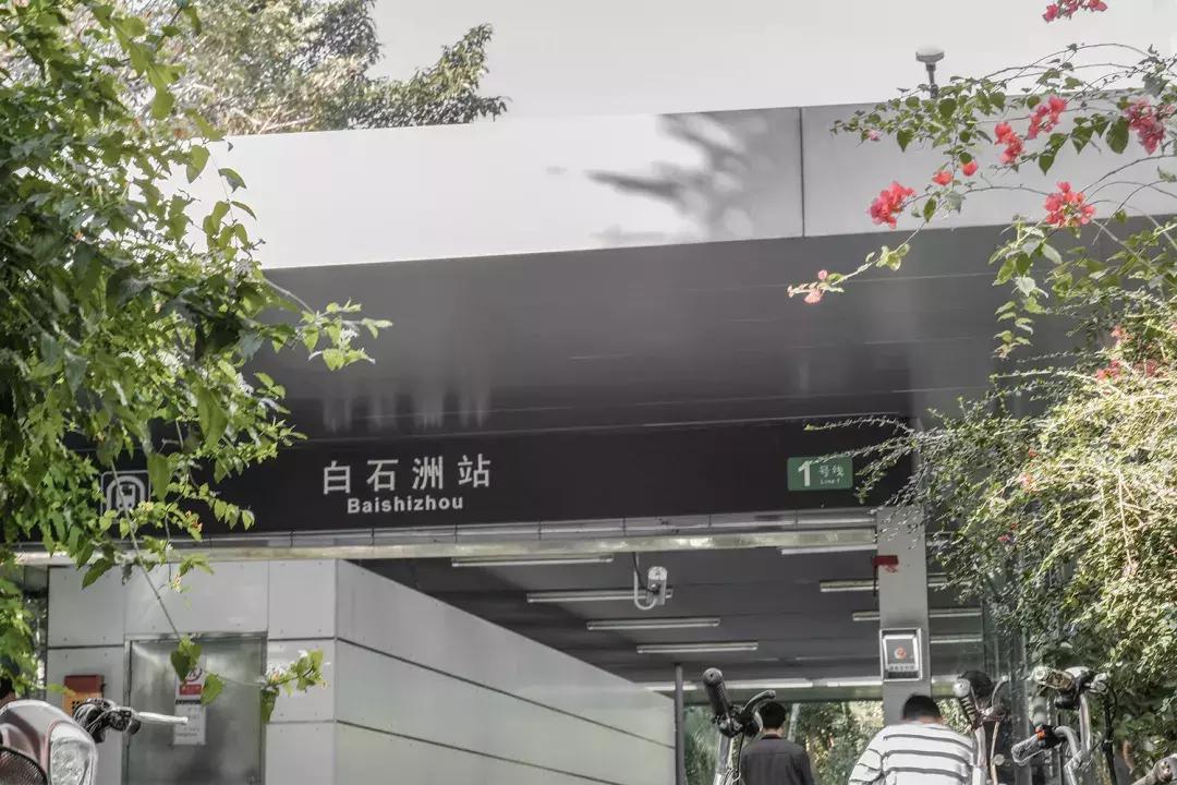 白石洲消失的原因,白石洲今日消息