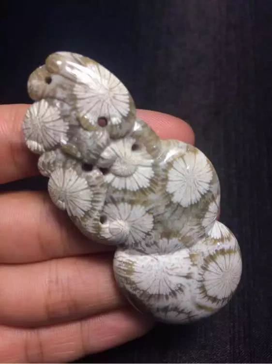 珊瑚玉和珊瑚的区别,珊瑚玉怎么辨别好坏