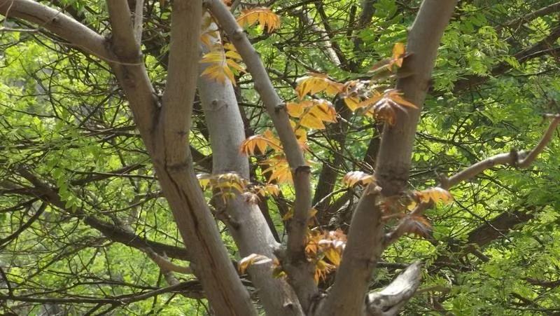 回村创业项目,2022适合农村10个创业项目