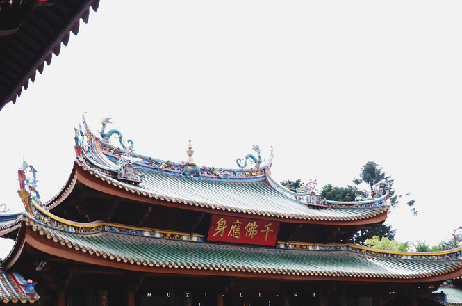 海上花园鹭岛行,海上花园鹭岛城市