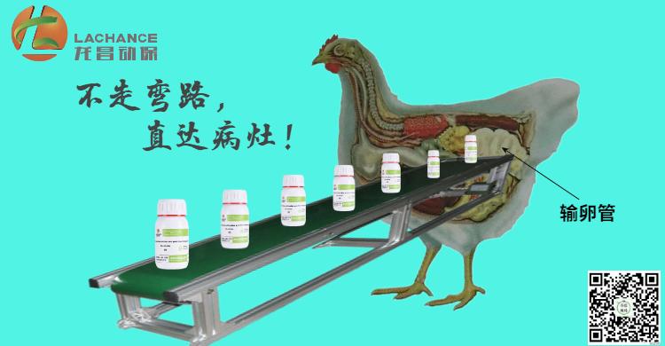 2020年7月鸡蛋价格什么时候会涨,2020鸡蛋价格上涨的原因是什么