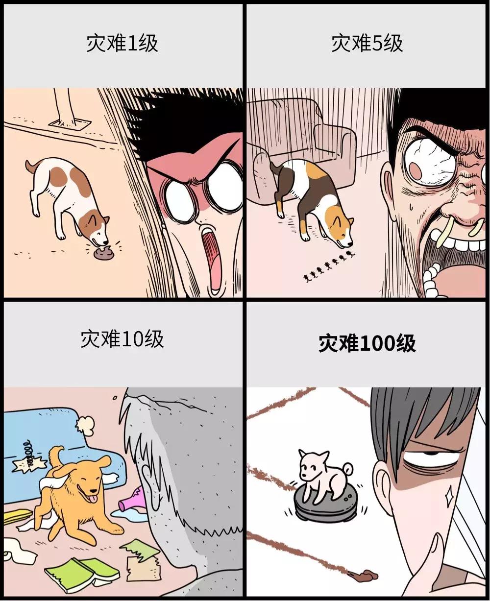 养狗和养猫的区别太真实了,养狗和养猫的五大区别