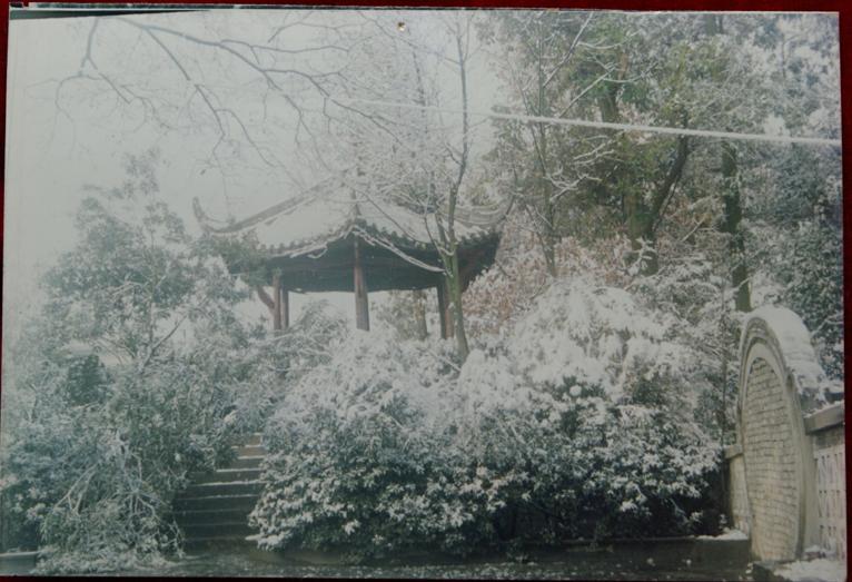 成都学校老照片,成都军区军医学校老照片