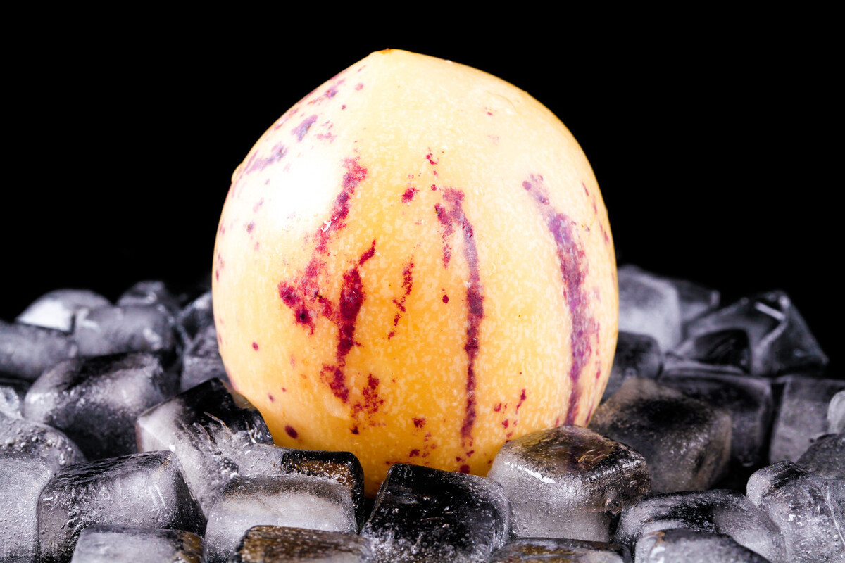 人参果茄子味,人参果茄科茄属草本植物